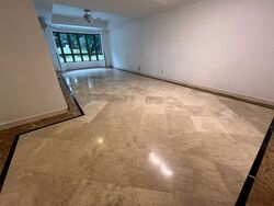Cavenagh Lodge (D9), Apartment #444982781
